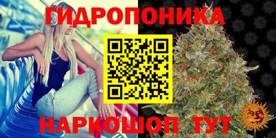крисы Среднеуральск