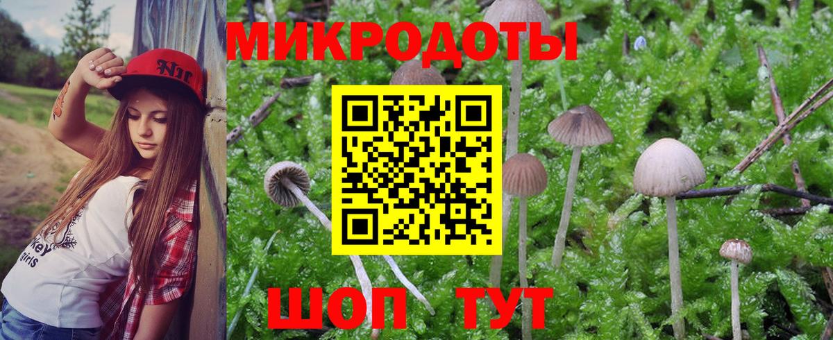 Казань  Галлюциногенные грибы Magic Shrooms  Псилоцибиновые грибы мицелий  Вход с VPN 