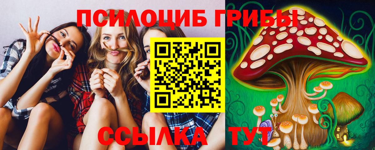 Галлюциногенные грибы Cubensis Казань